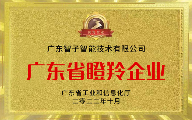 廣東省瞪羚企業(yè) 廣東省瞪羚企業(yè)